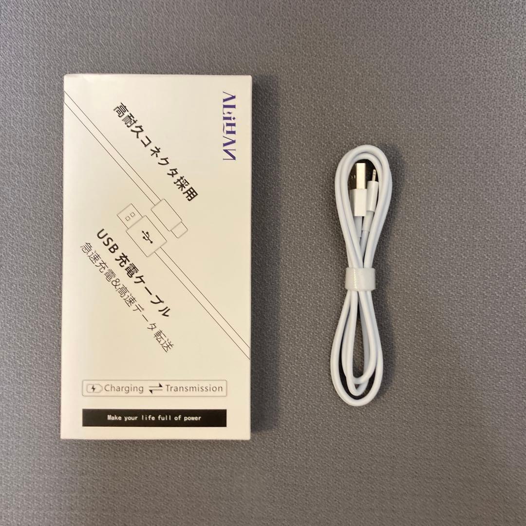 iPhone SE 第一世代　Lightningケーブル