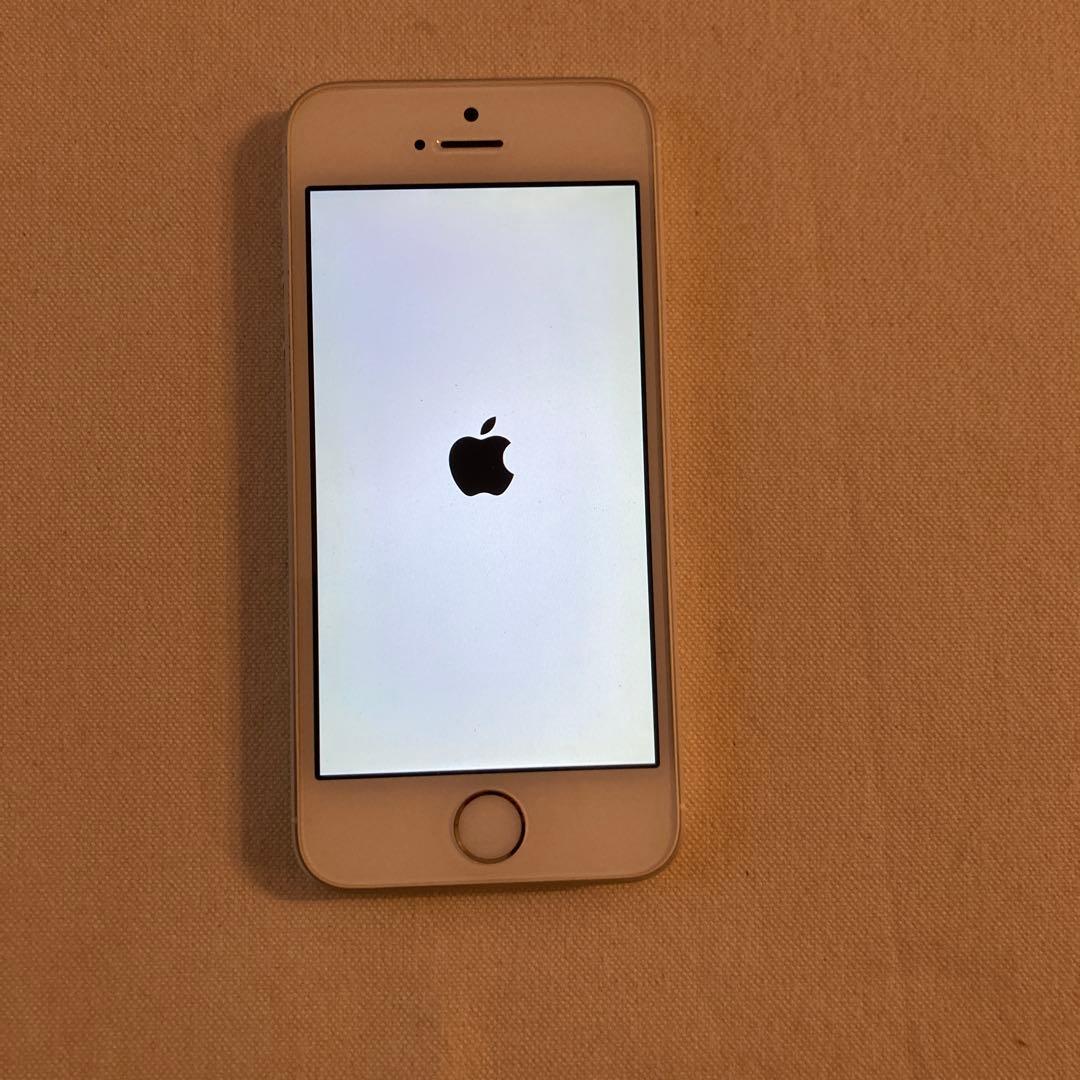 iPhone SE 第一世代　Lightningケーブル