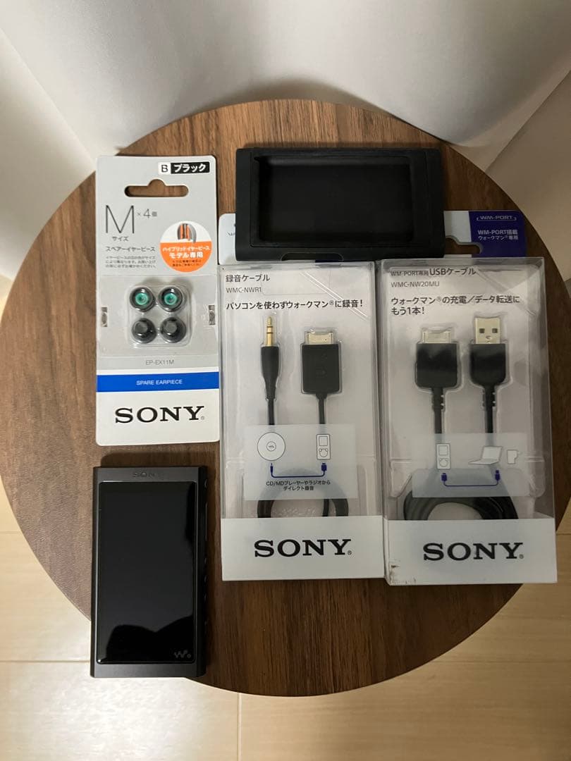 Sony NW-A55 + IER-NW500N セット