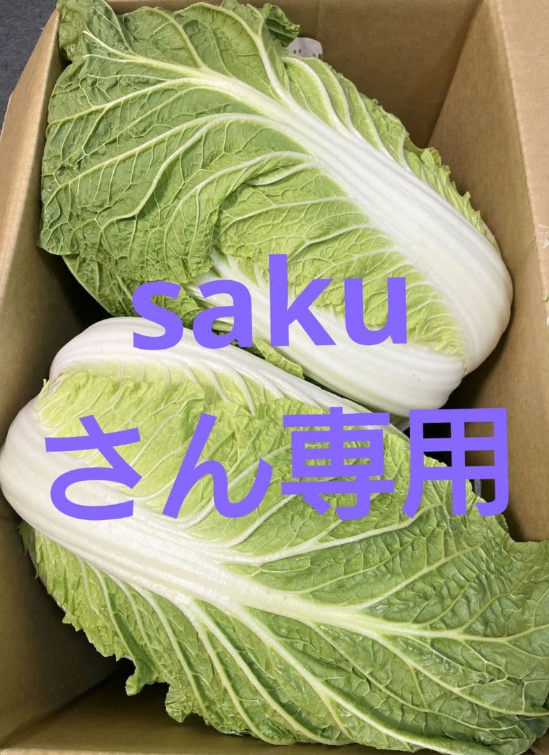 sakuさん専用