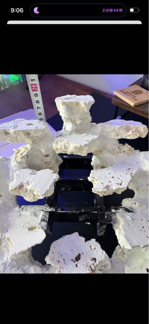 釣り上げ人工ライブロック　5kg