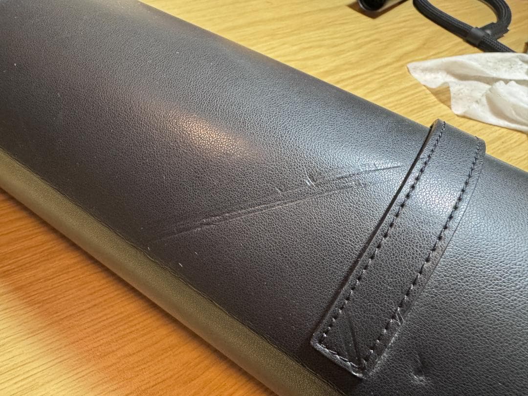 【ショット数 388】LUMIX DMC-GM1 オレンジ