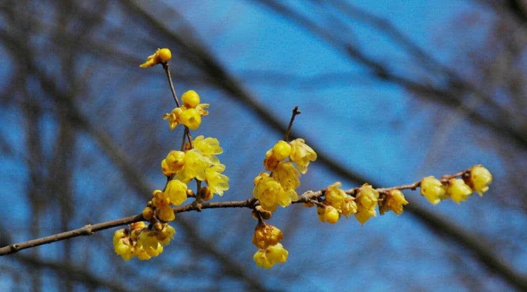 NIKON　D70　広角から望遠まで　初心者⚡️一眼レフ⚡️望遠⚡️ニコン