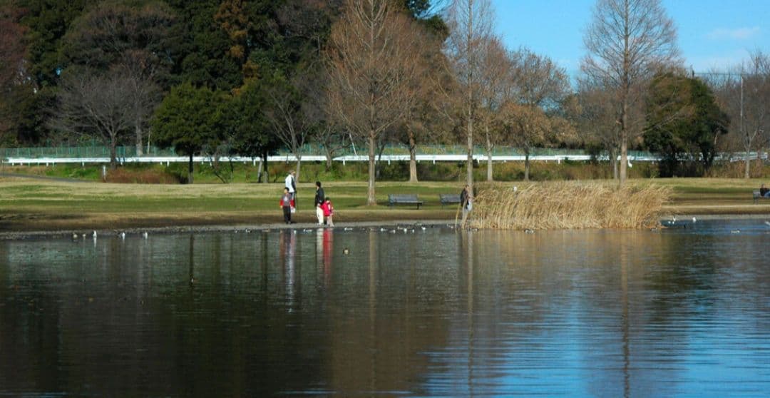 NIKON　D70　広角から望遠まで　初心者⚡️一眼レフ⚡️望遠⚡️ニコン