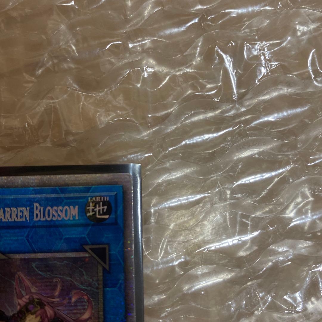 遊戯王 鉄獣戦線 徒花のフェリジット スターライトレア 美品