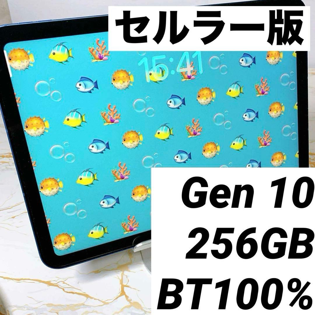 美品iPad 第10世代 セルラー 256GB BT100%