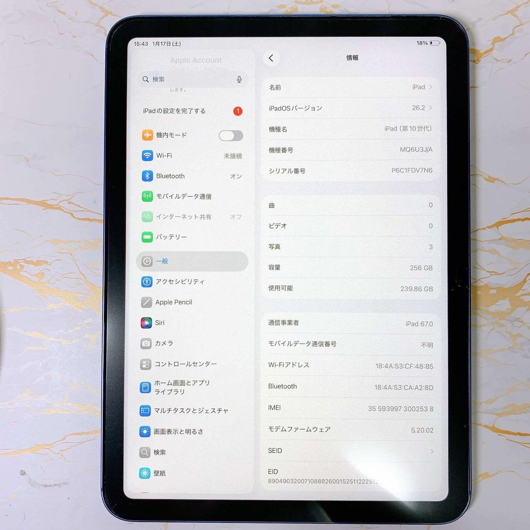 美品iPad 第10世代 セルラー 256GB BT100%
