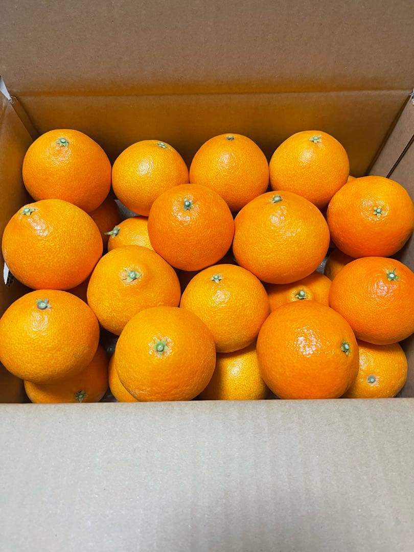 愛果28号(紅まどんな 同品種)・10kg⚠特選L~3L玉