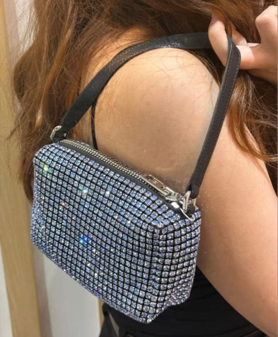 alexanderwang スパンコール ストーンバッグ