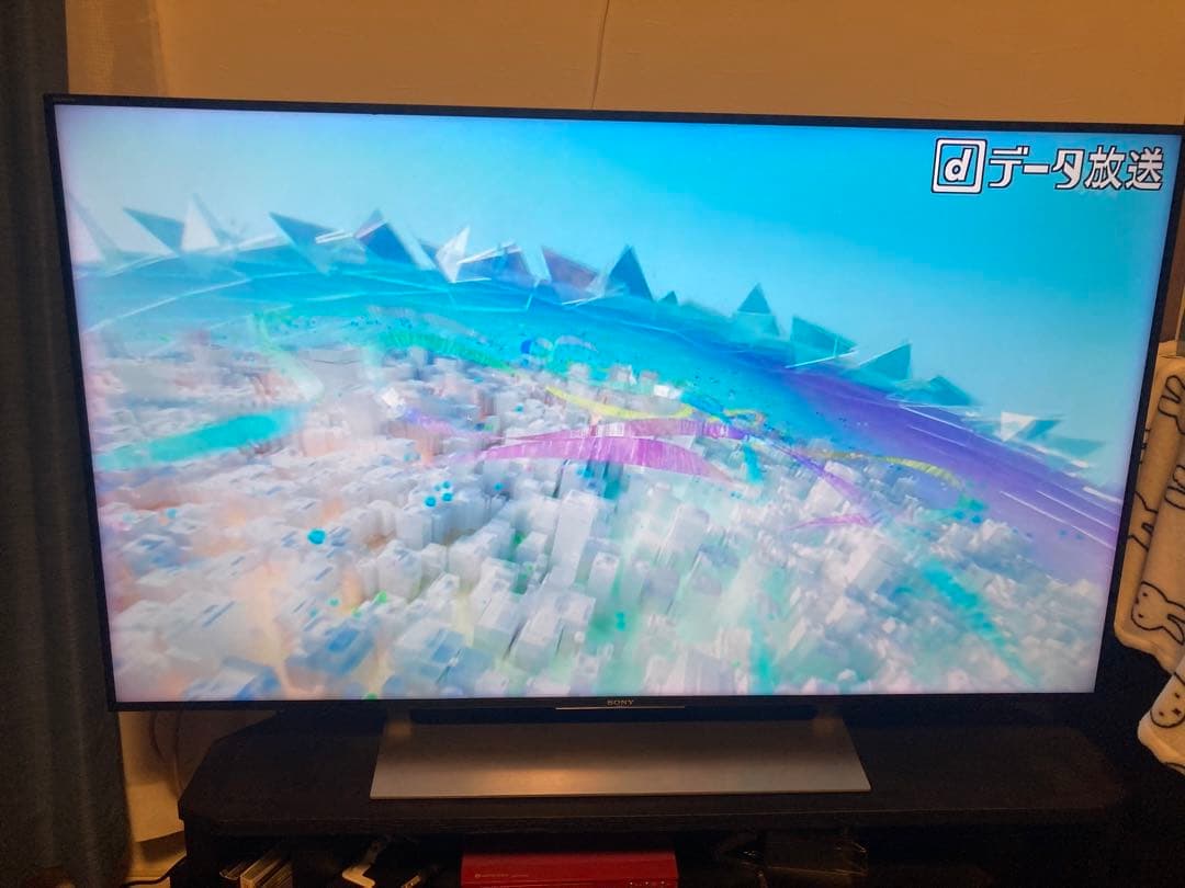 SONY 液晶テレビ KJ-49X9000E