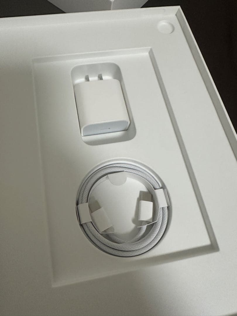 Apple 11 インチ iPad (A16): 11 インチモデル 128GB