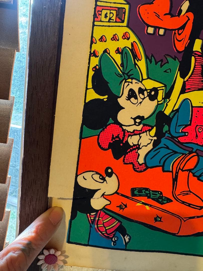 The Disneyland Memorial Orgyポスター