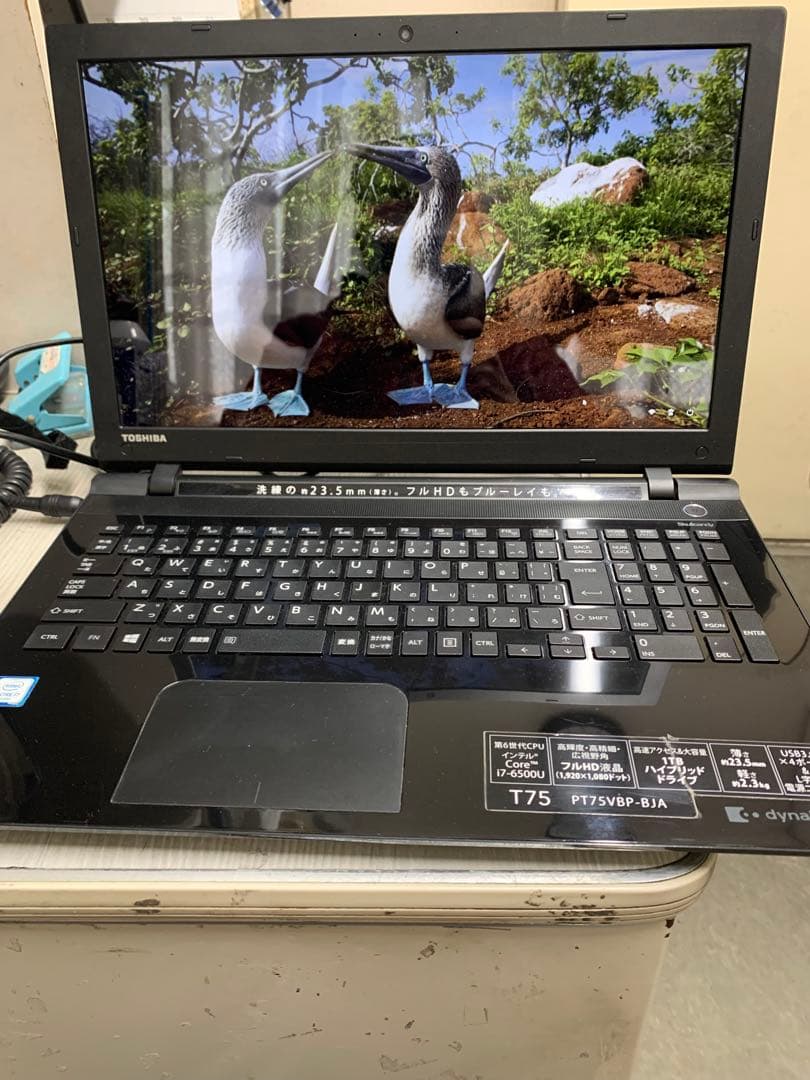 dynabook Corei7 HDD1TB 8GB 第6世代