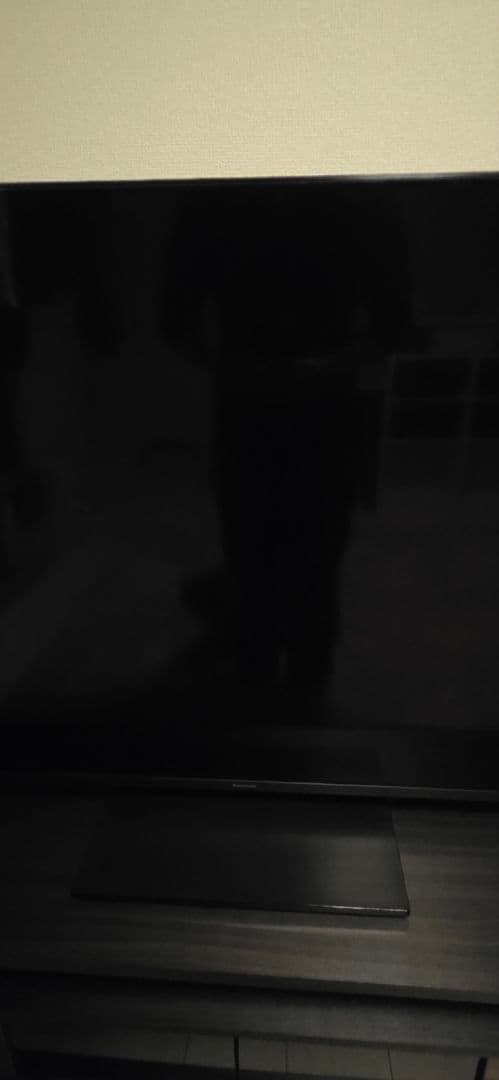 Panasonic TH-55LX950 液晶テレビ 55インチ