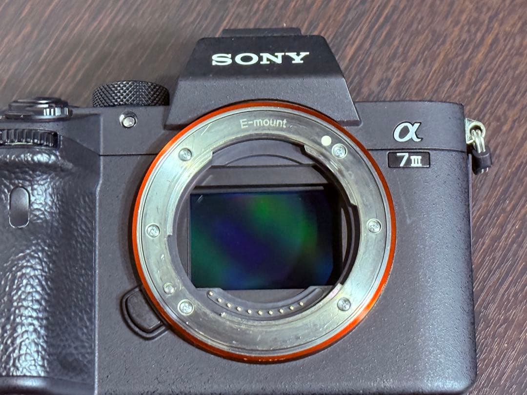 Sony α7 III 本体 付属品付き　シャッター数11,320回