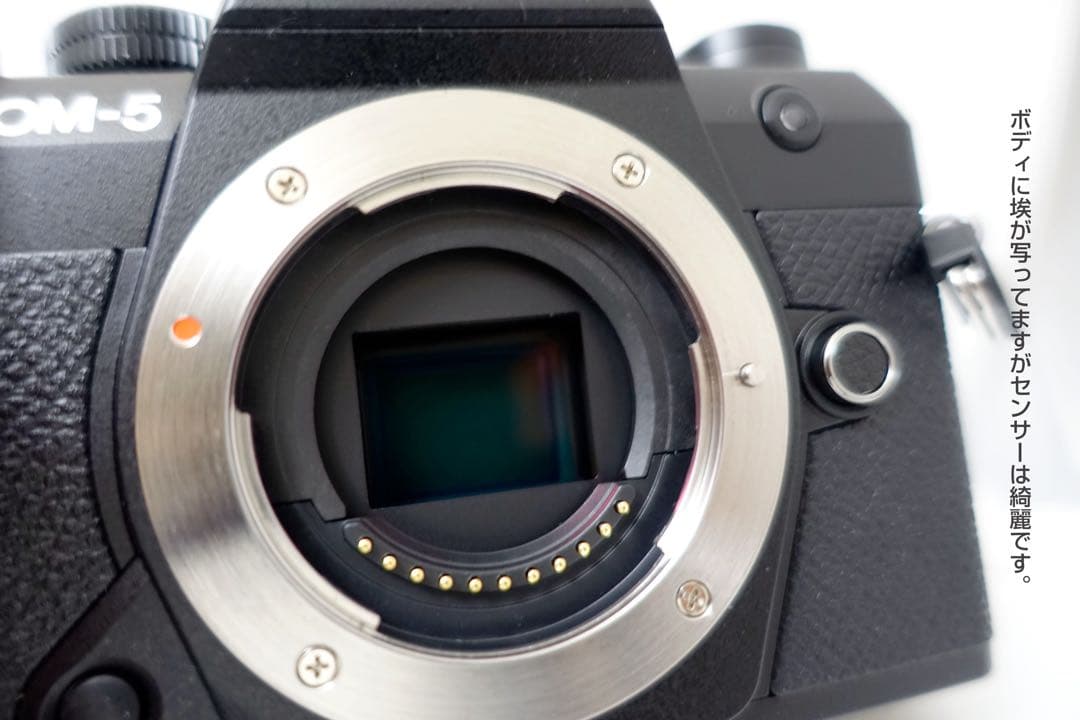 OM SYSTEM OM-5 mark II 本体