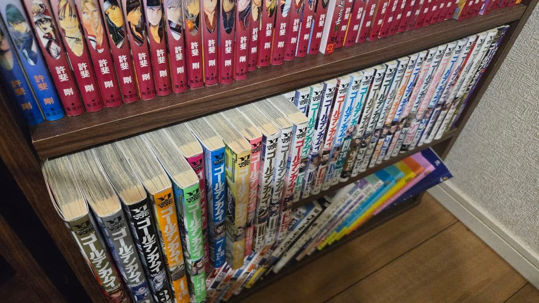 ゴールデンカムイ 全巻セット　ファンブック込み