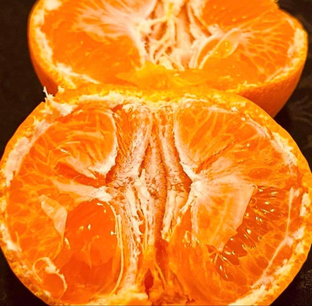 23)数量限定　甘すぎる　有田みかん　果物 　みかん　小玉　旬