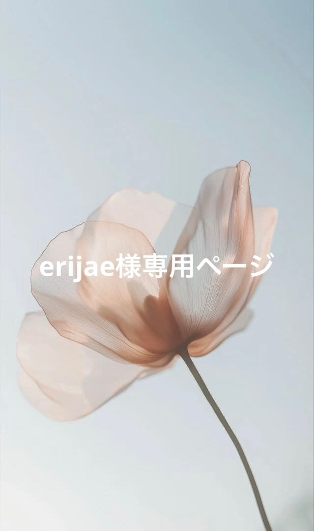 erijaeページ