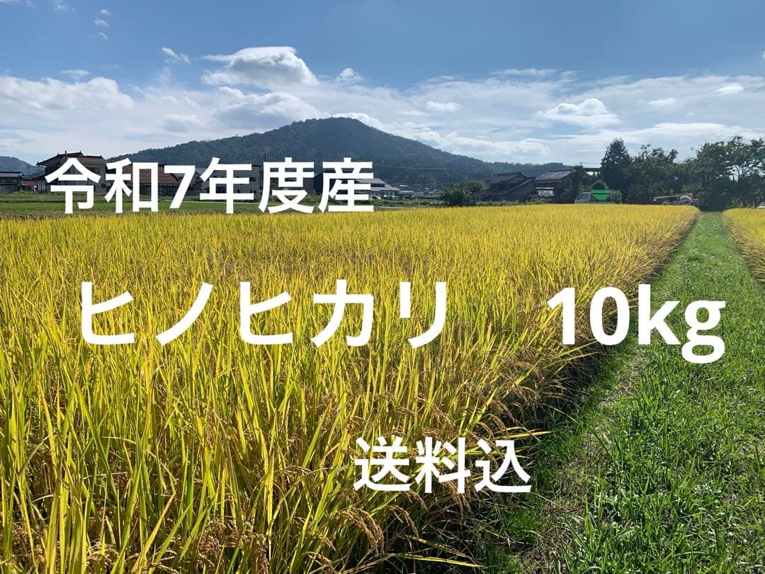令和7年度産　ヒノヒカリ10kg(玄米)送料込　減農薬　農家のお米