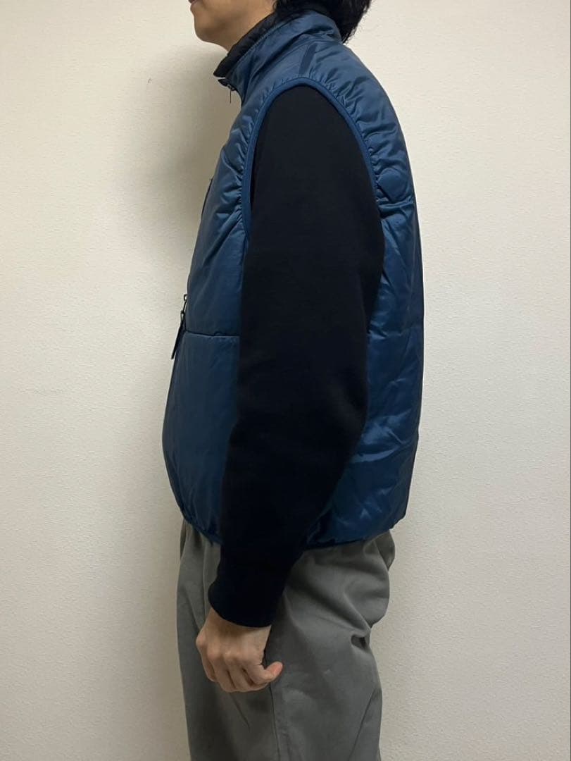 patagonia ベスト usa