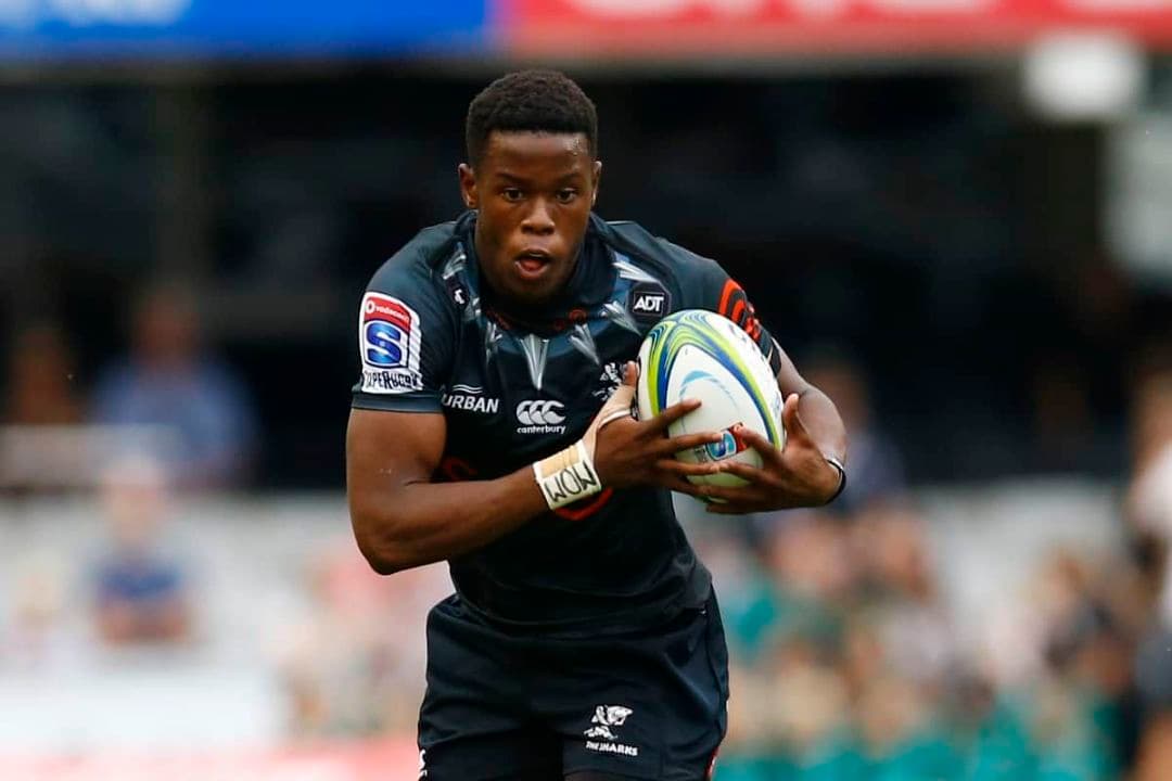 ラグビー 選手支給ジャージ 南アフリカ シャークス L 新品 背番号8 #2