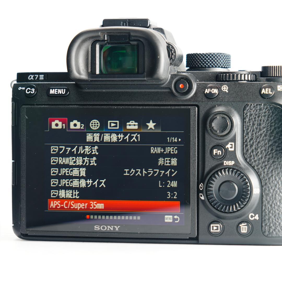ちゅんα7III極上品/シャッター回数9%/SONY ミラーレス