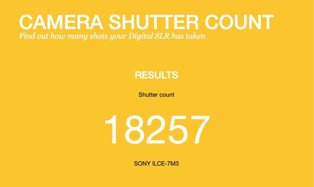 ちゅんα7III極上品/シャッター回数9%/SONY ミラーレス