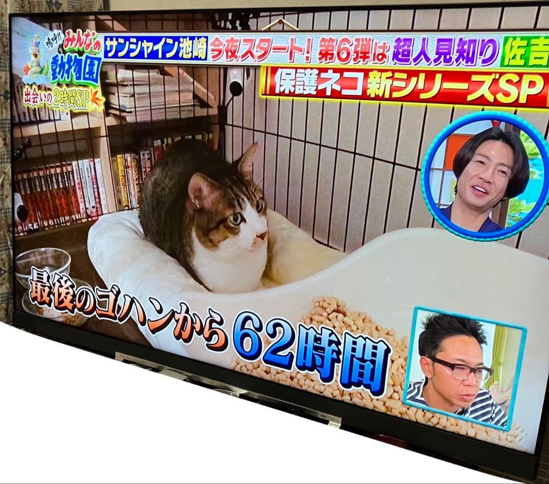 東芝REGZA 65Z730X 65インチ 液晶テレビ