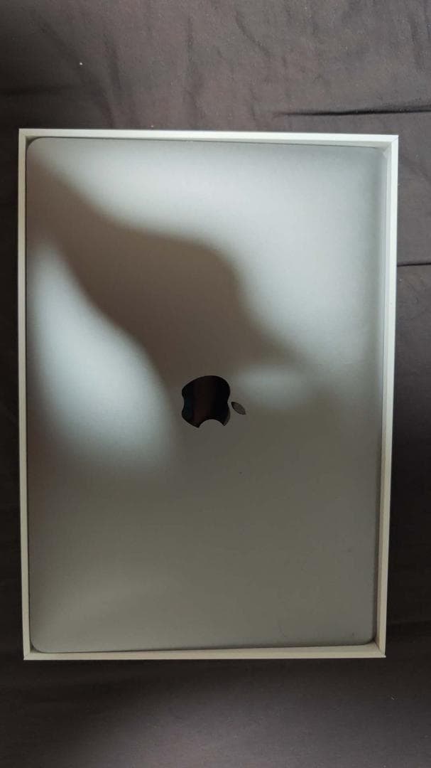 MacBook Air (M1, 8GB, 256GB SSD) 13インチ