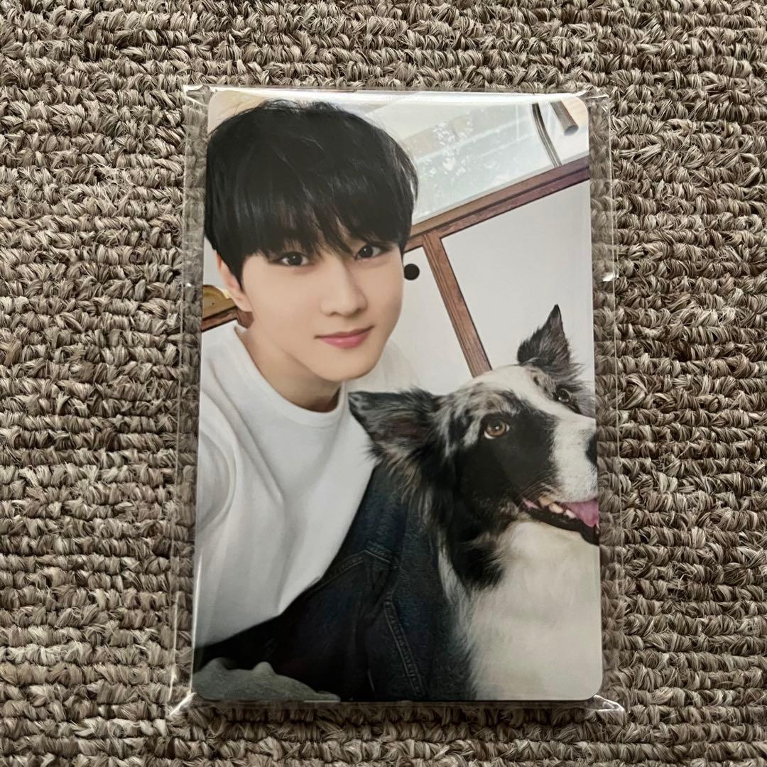 ENHYPEN アンケートトレカ FC コンプリート コンプ エナプ