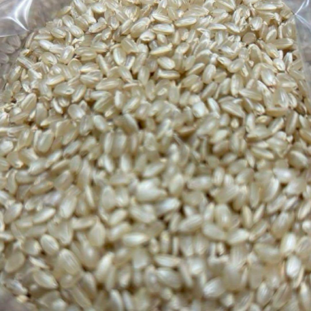 栃木県産【令和7年】新米玄米こしひかり30kg