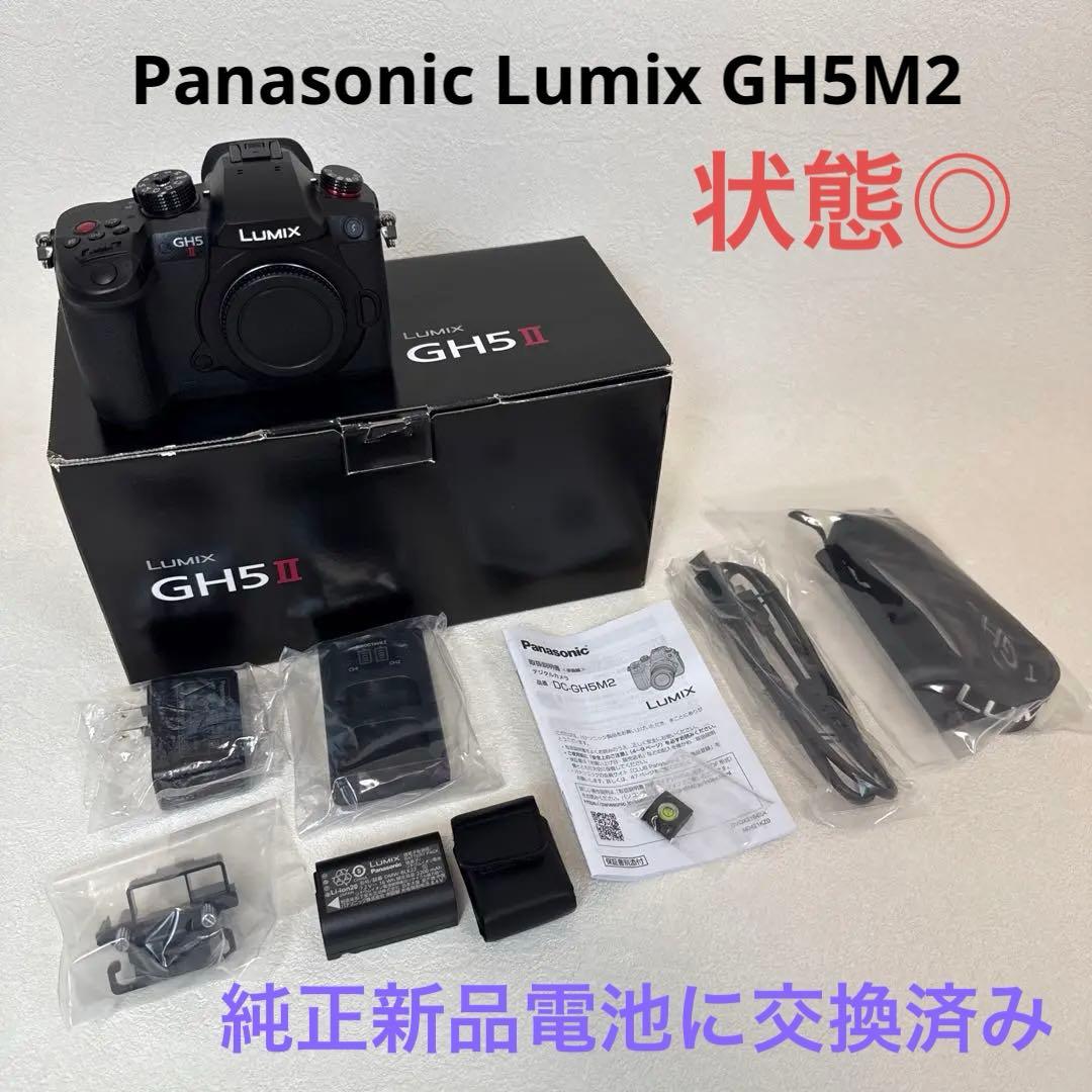 【美品】Panasonic Lumix DC-GH5M2