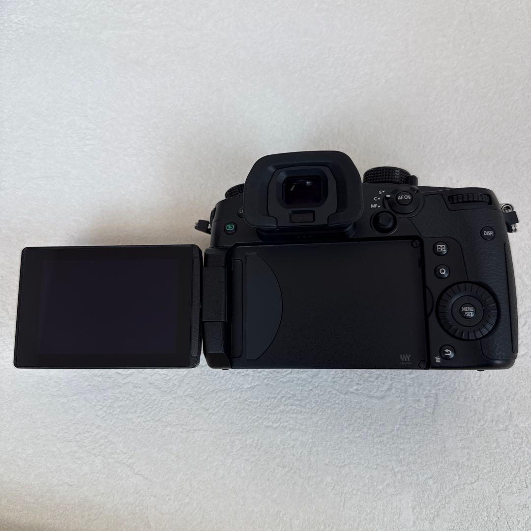 【美品】Panasonic Lumix DC-GH5M2