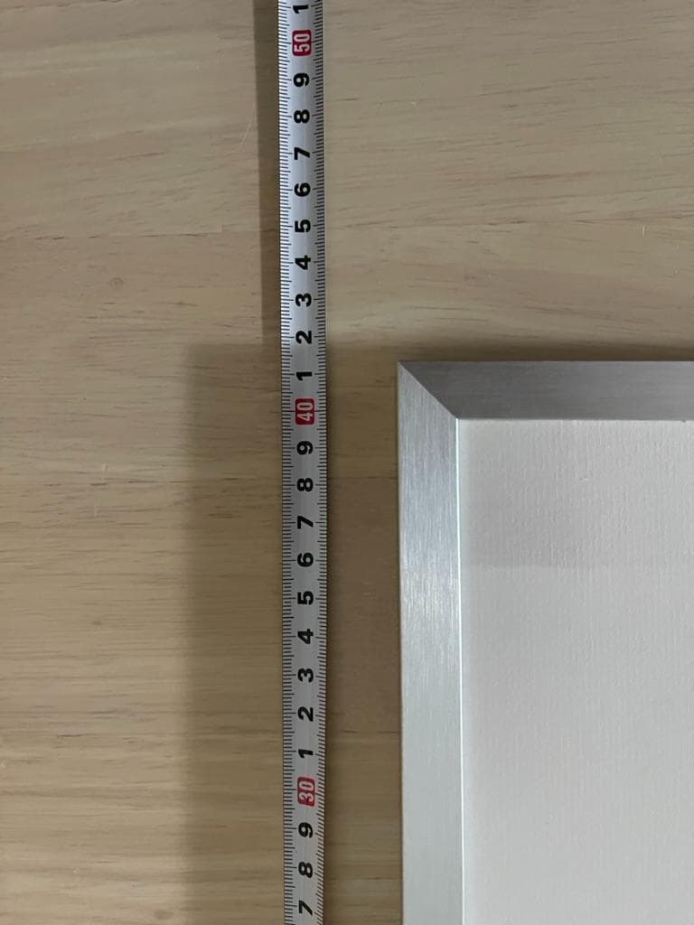 【限定】イエローコーナー アート写真 ライオン ペドロ・ハルケ・クレブス 額装