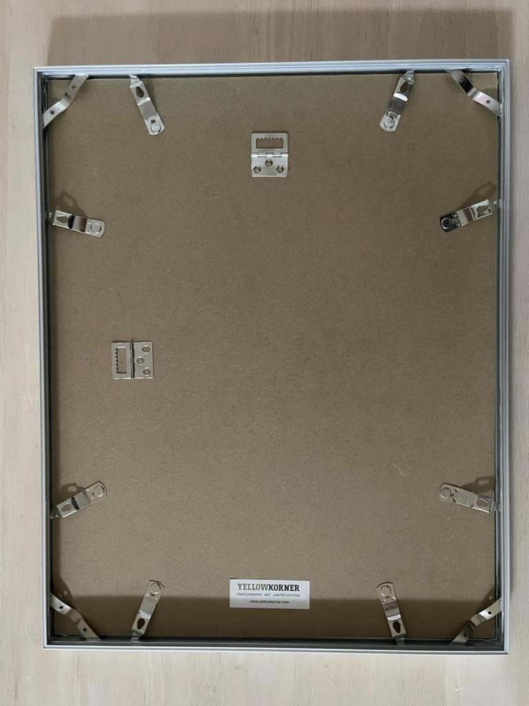 【限定】イエローコーナー アート写真 ライオン ペドロ・ハルケ・クレブス 額装