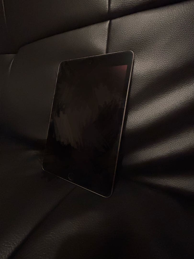 iPad mini 第5世代 64GB 本体 美品