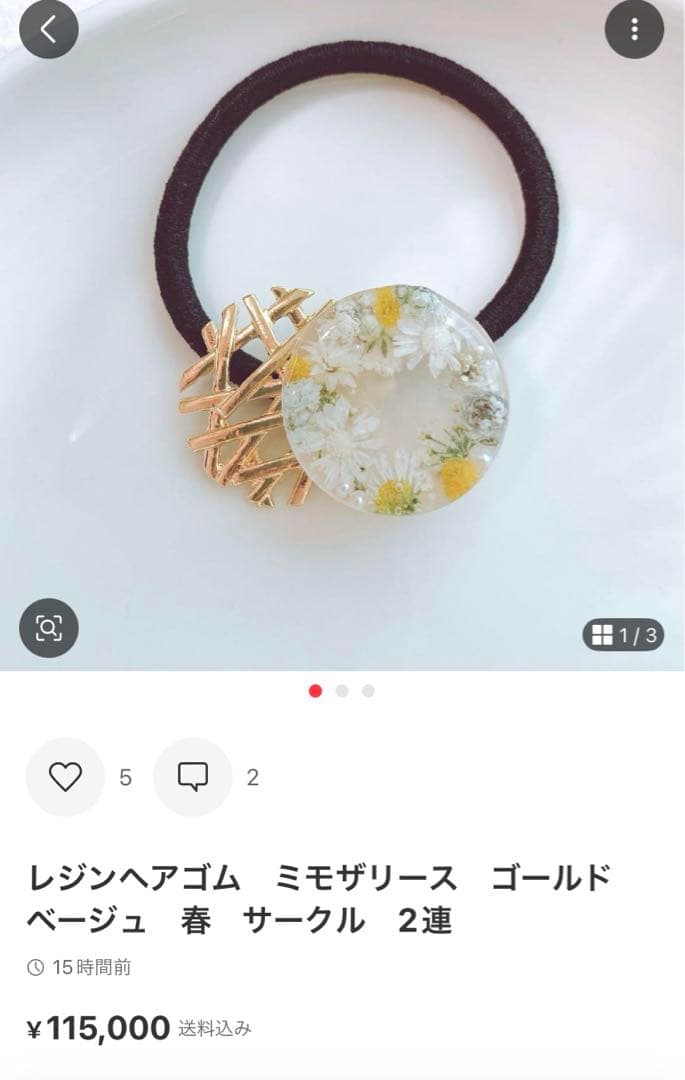 ひまういページ　レジンヘアゴム 5点　クリップ1点　ポニーフック2点