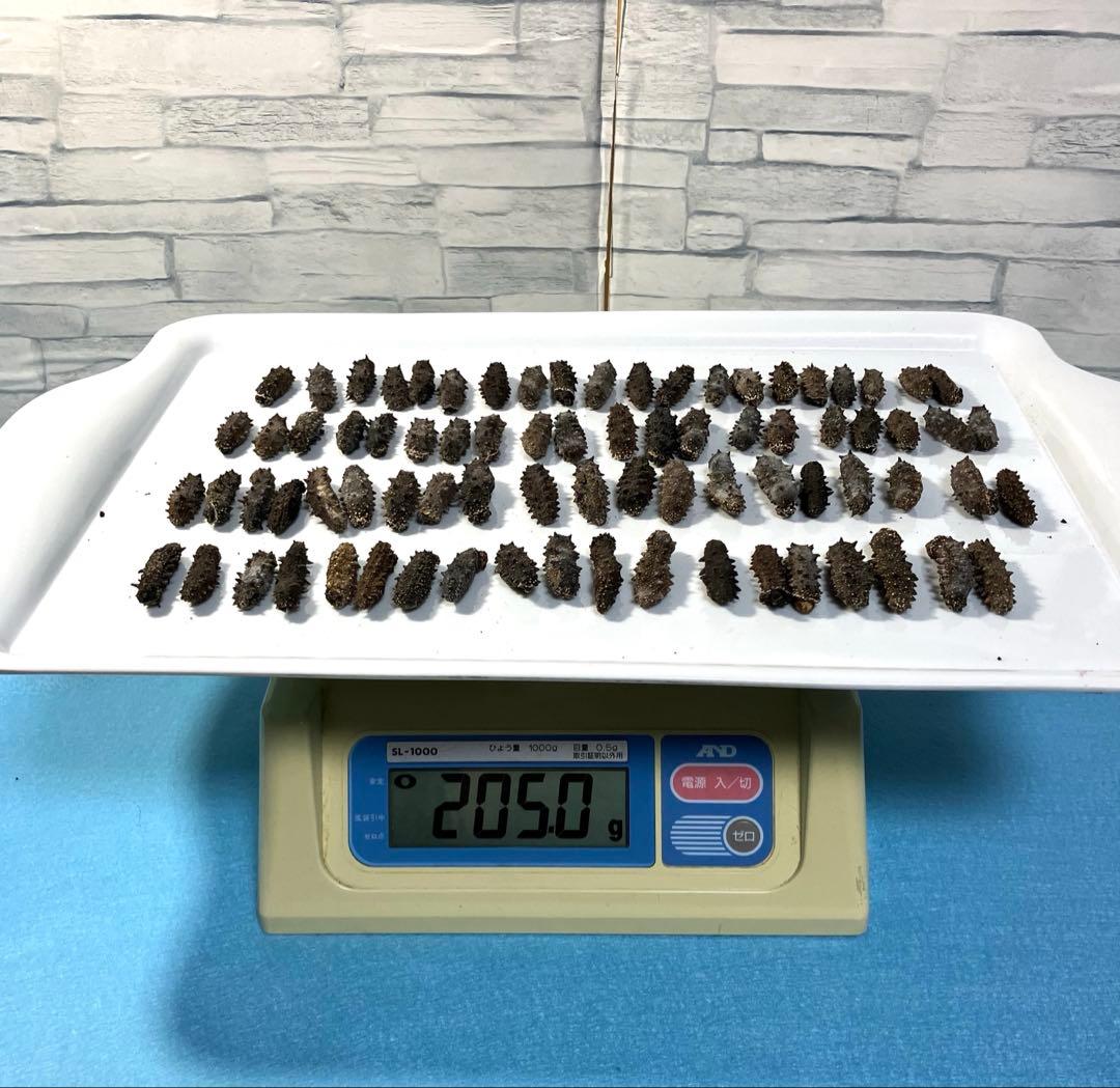 関東産ナマコ A級品200g(79粒) 12,000円