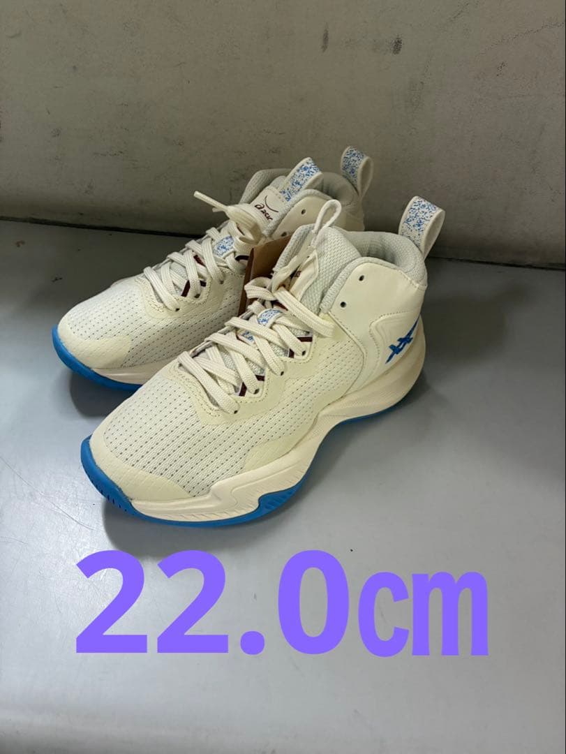 NOVA SURGE 3 GS 752カラー 22.0㎝