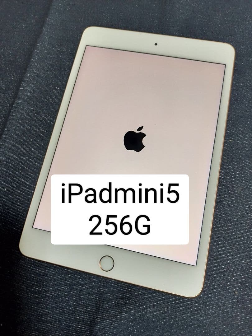 美品　Apple iPadmini（第5世代）256GB