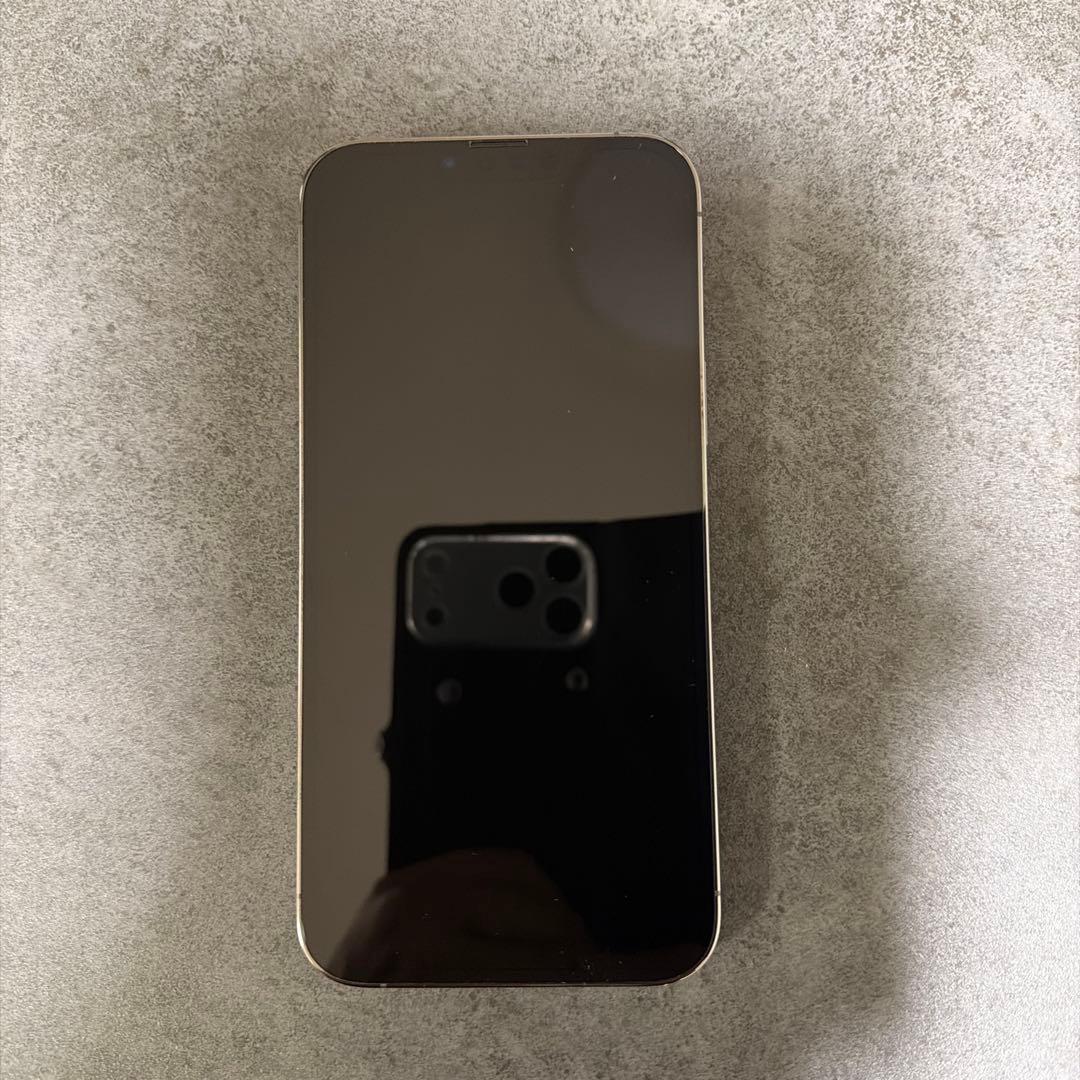 iPhone 13 Pro Max 256GB グラファイト