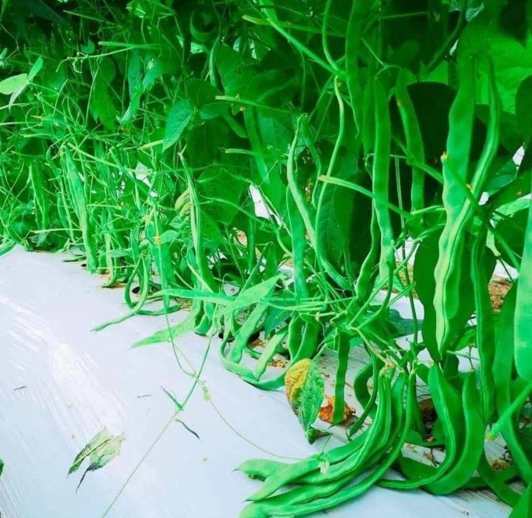 ルコラルステーション