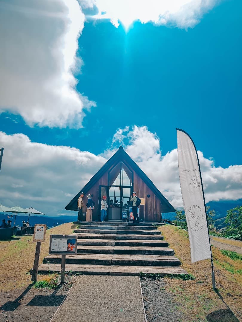 美品 vivo X90 Pro+ 256GB +12GB バッテリー100%