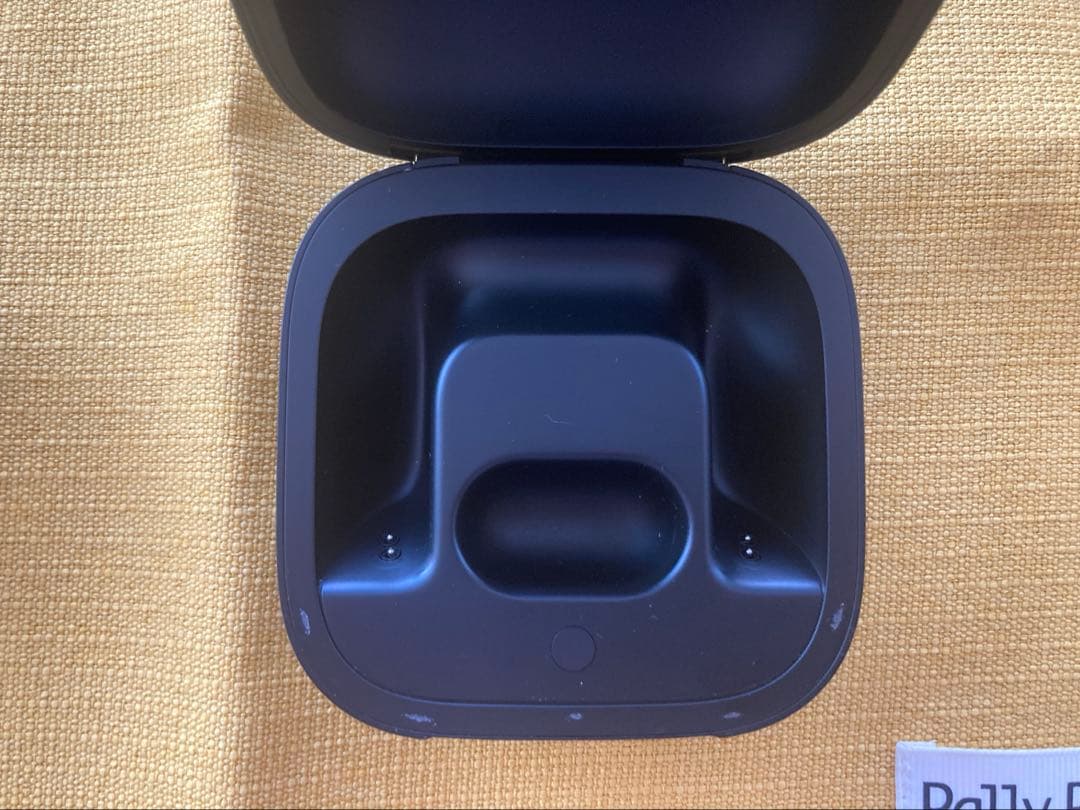 Beats Powerbeats Pro ジャンク 左耳バッテリー不良