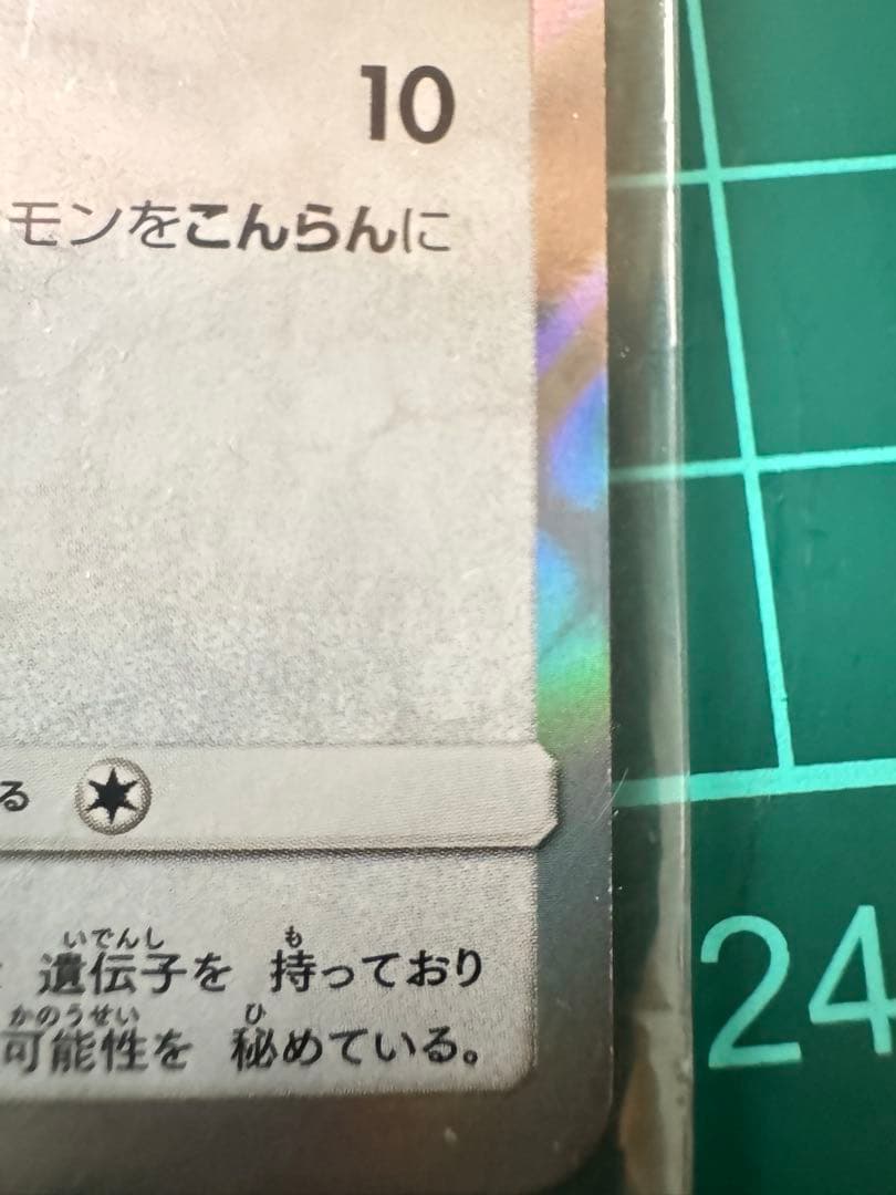 ポンチョを着たイーブイ（ブラッキー） PROMO SM-Pプロモカード 141…