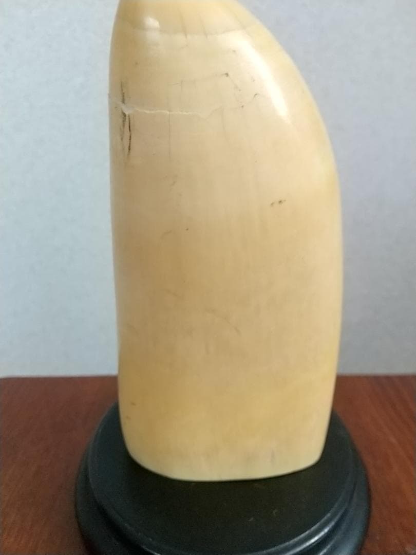 抹香鯨の歯の置物（龍彫刻） 黒台座付き