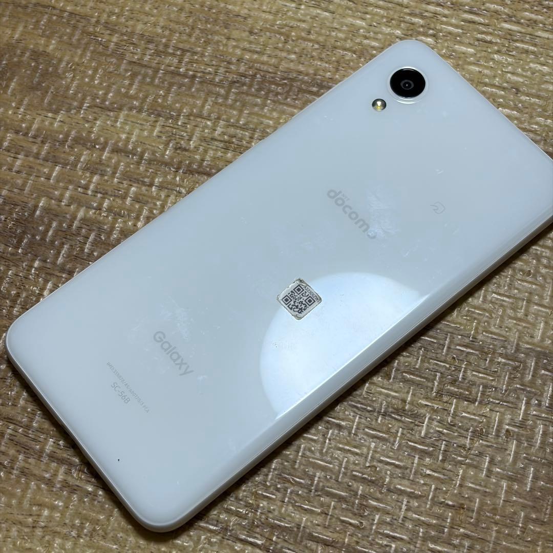 紫陽花　6セット