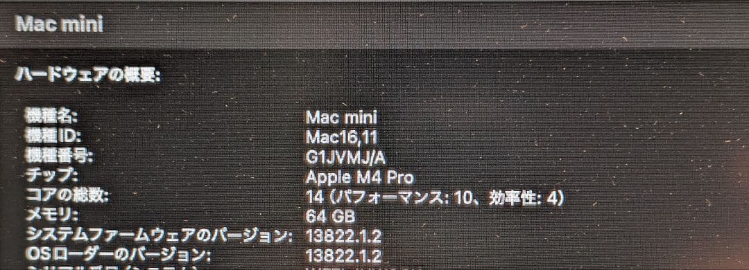Apple Mac mini M4 Pro 14コア 64GB 2TB