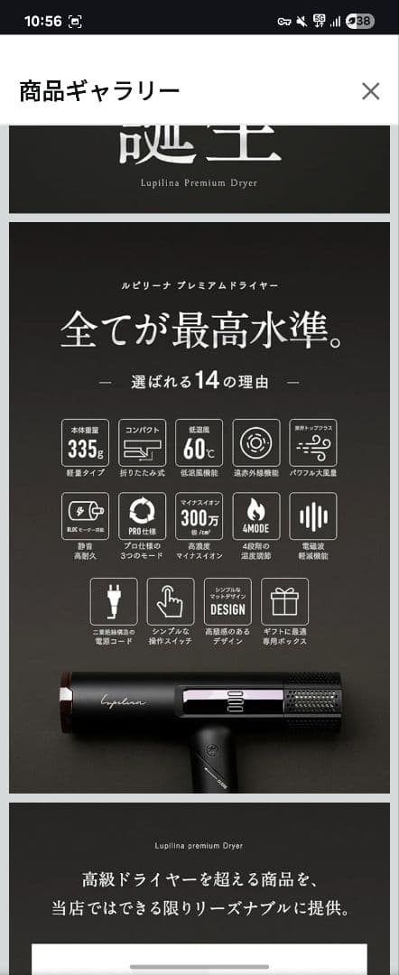 【美品】ルピリーナ 折りたたみ式マイナスイオンドライヤー 1200W